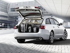 PROTECTIVE GRILLE, AUDI A6 AVANT (LONGITUDINAL)