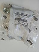 MUTTERI          B16