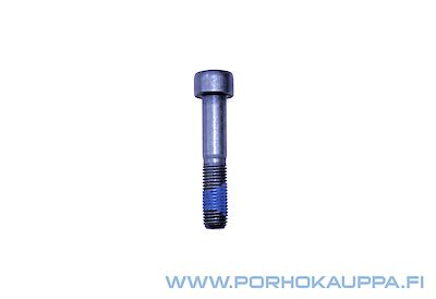 SOCKET SCREW STCONIN DIAM 8X100-42